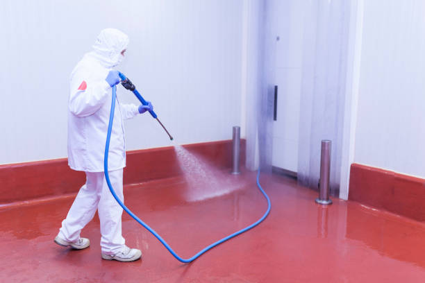 Best Boat and Dock Cleaning  in Cleveland, FL